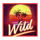 miami rise wild symbol icon