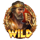 midas realm dice wild symbol icon