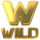 million 777 coins wild symbol icon