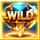 millionaire wheels wild symbol icon