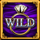 mona lisa jewels wild symbol icon