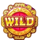 money gong empress wild symbol1 icon