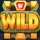 monkeys magic book wild symbol icon