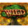 moon oak deluxe wild symbol icon