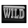 more fresh fruits wild symbol icon