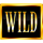 multi machine wild symbol icon