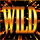 multi wild wild symbol icon