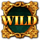 mysterious wild4 symbol icon