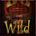 mystic mask wild symbol icon