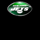 new york jets deluxe wild symbol icon