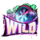 nitro nights epic nitro wild symbol icon