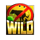 nitropolis 2 wild symbol icon