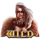 northern raider wild symbol icon