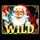 novi god wild symbol icon