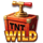 nugget ridge expanding wild symbol icon