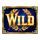 olympus of luck hold the spin wild symbol icon