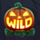 onetouch halloween hunt wild symbol icon