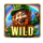 patricks collection ultimate edition wild symbol icon