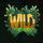perfect catch wild symbol icon