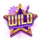 piggy blitz casino gold wild symbol icon