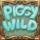 piggy cash wild symbol icon