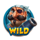 pirates pub wild symbol icon