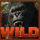 playtech king kong wild symbol icon