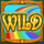 plenty o fortune wild symbol icon