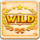 poker ways 243 wild symbol icon