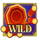prosperity reels wild symbol icon