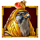 pyramid riddles ra jumboways clover chance wild symbol icon