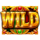 ra vs osiris wild symbol icon
