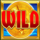 rainbow riches fortune favours wild symbol icon