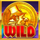 rainbow riches pick n mix wild symbol icon