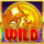 rainbow riches power mix wild symbol icon