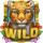 rainforest magic wild symbol icon
