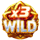 rapid wild wild 4 symbol icon
