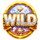 rapid wild wild symbol icon