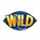 reel em in lake lunker edition wild symbol icon