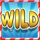 reel fruitz frenzy wild symbol icon