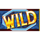 reel riches fortune age wild symbol icon