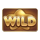 reel rush powerpoints wild symbol icon