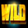 reel talent wild symbol icon