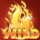 reels of flame wild 2 symbol icon
