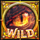 reign of dragons frozen inferno wild 1 symbol icon