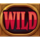 relax gaming arena of fortune wild symbol icon