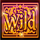 respin wishes wild symbol icon