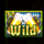 retrofest wild symbol icon