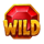 riches hold and win wild symbol icon