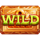 riddle of riches mystery cruise wild 1 symbol icon